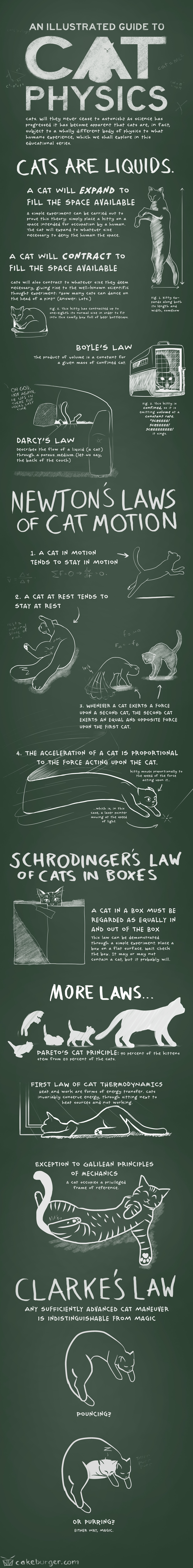 Quick science⠀ -⠀ #science #physics #cats #memes #9gag